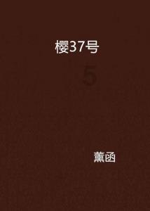 寻找沙漠珍宝