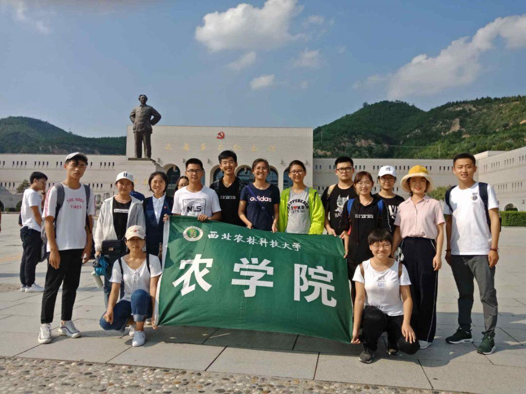 卡通摩托拼图