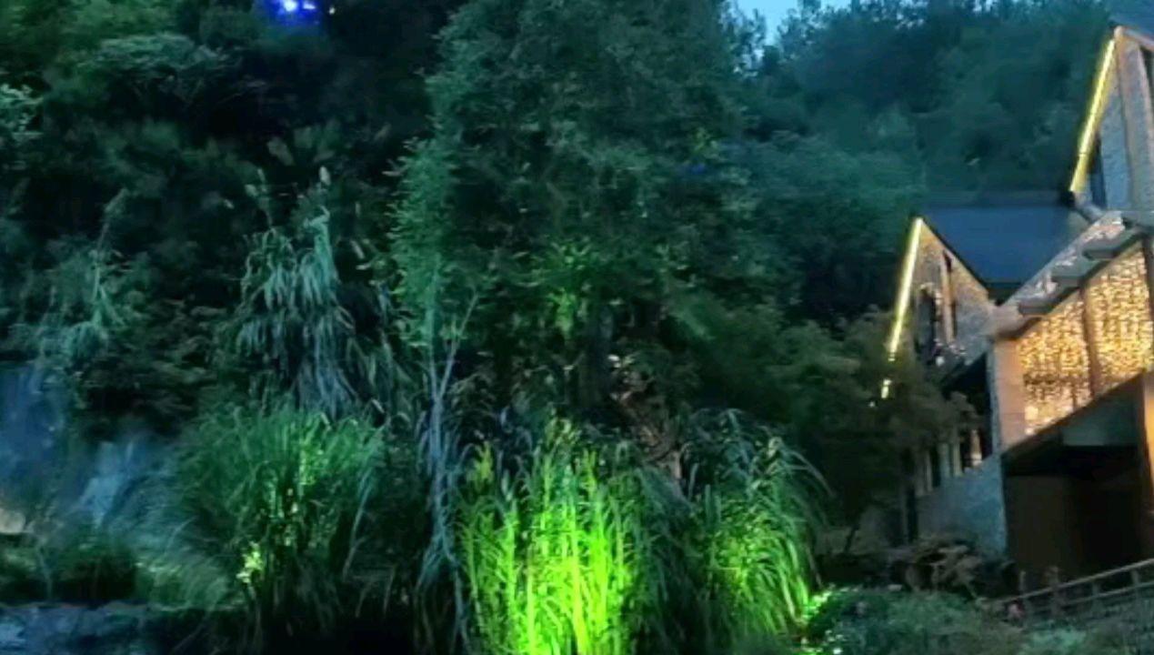 好的运气可以多大程度上成就一个人?